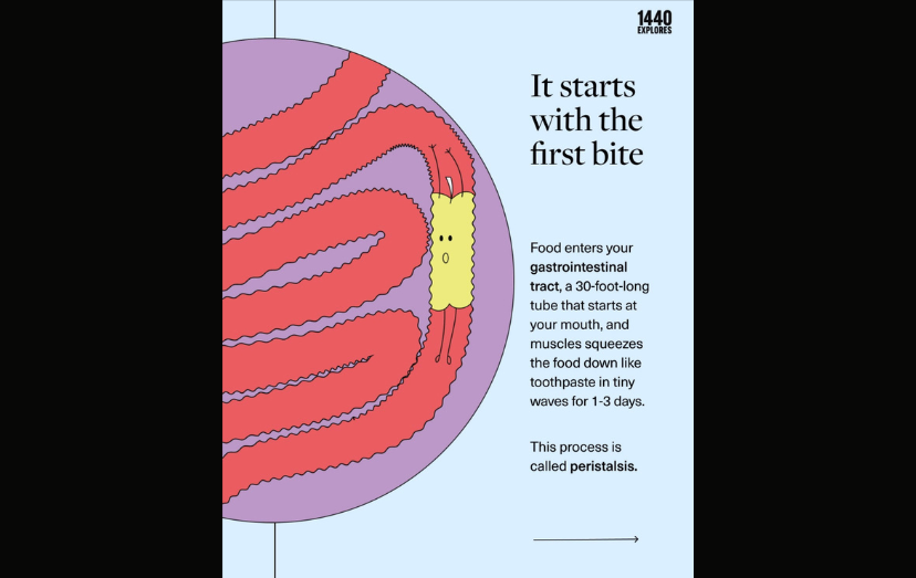 The hidden science of flatulence